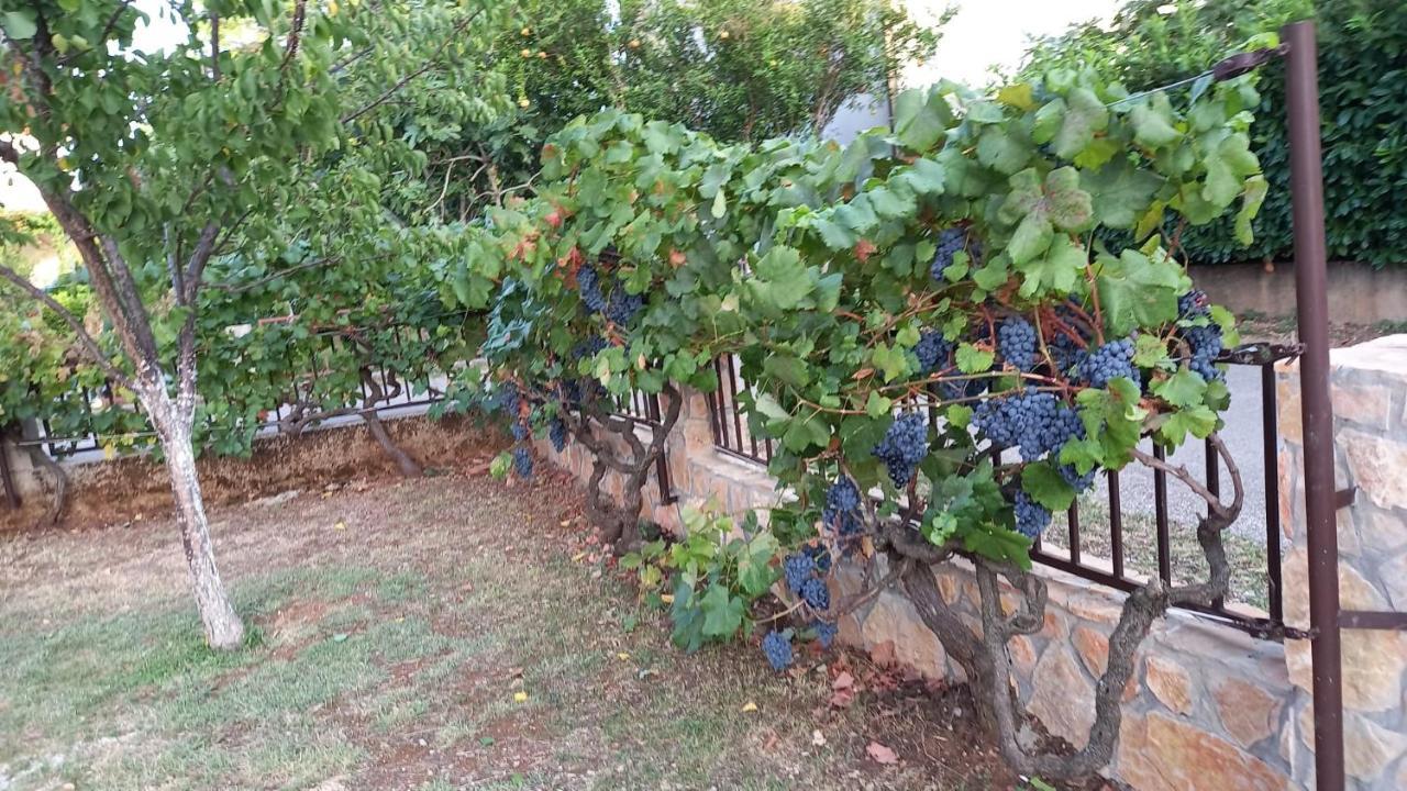 Villa Vinka Μόσταρ Εξωτερικό φωτογραφία