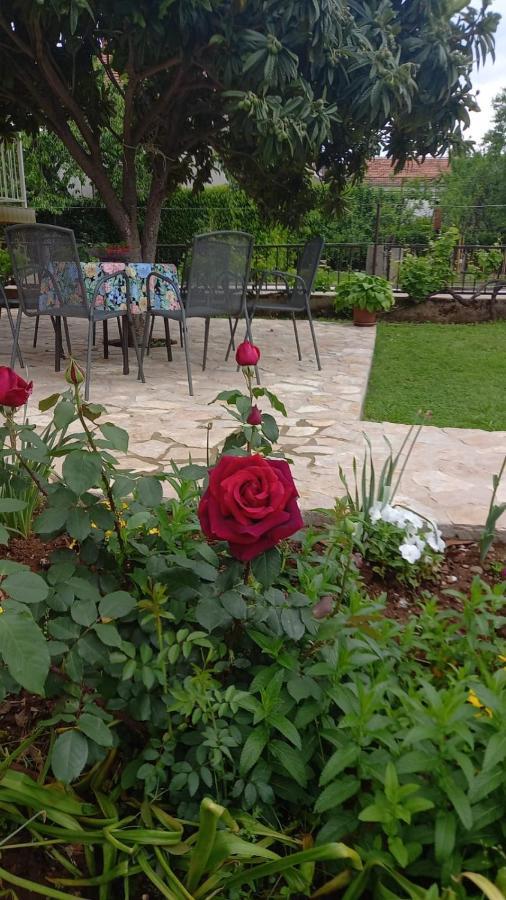 Villa Vinka Μόσταρ Εξωτερικό φωτογραφία